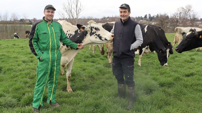 Thibault (à g.) et Patrice Andrieux ont commencé il y a cinq ans à réduire leur renouvellement pour allonger la carrière de leurs vaches.  Ici, avec Lina, la doyenne actuelle du troupeau (10 ans).